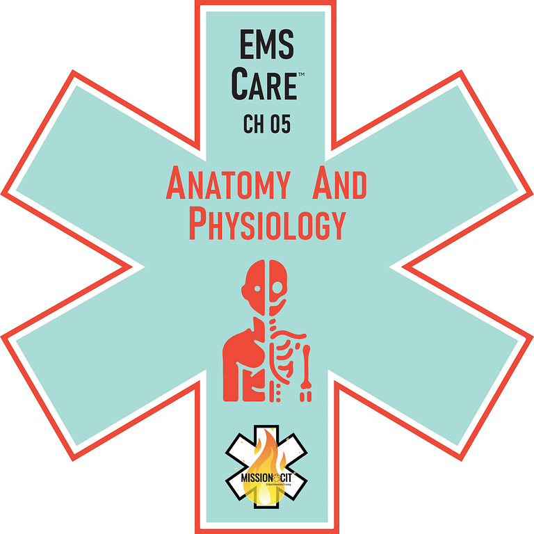 EMS Care Chapter 05 | Anatomy And Physiology