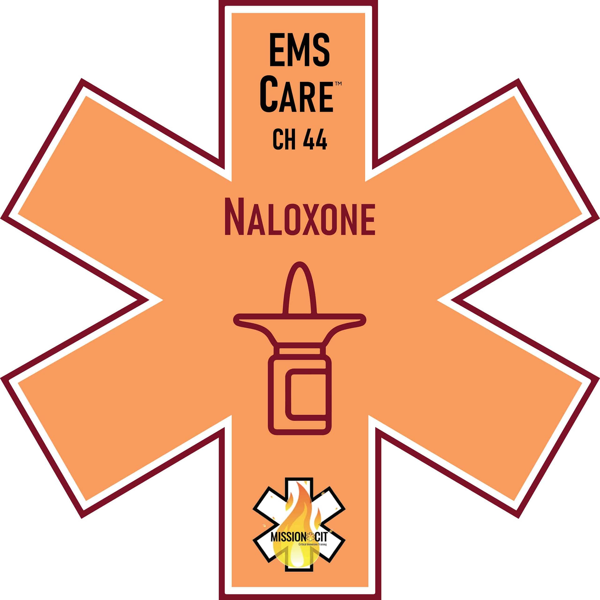 EMS Care Chapter 44 | Naloxone – Narcan | Updated Version