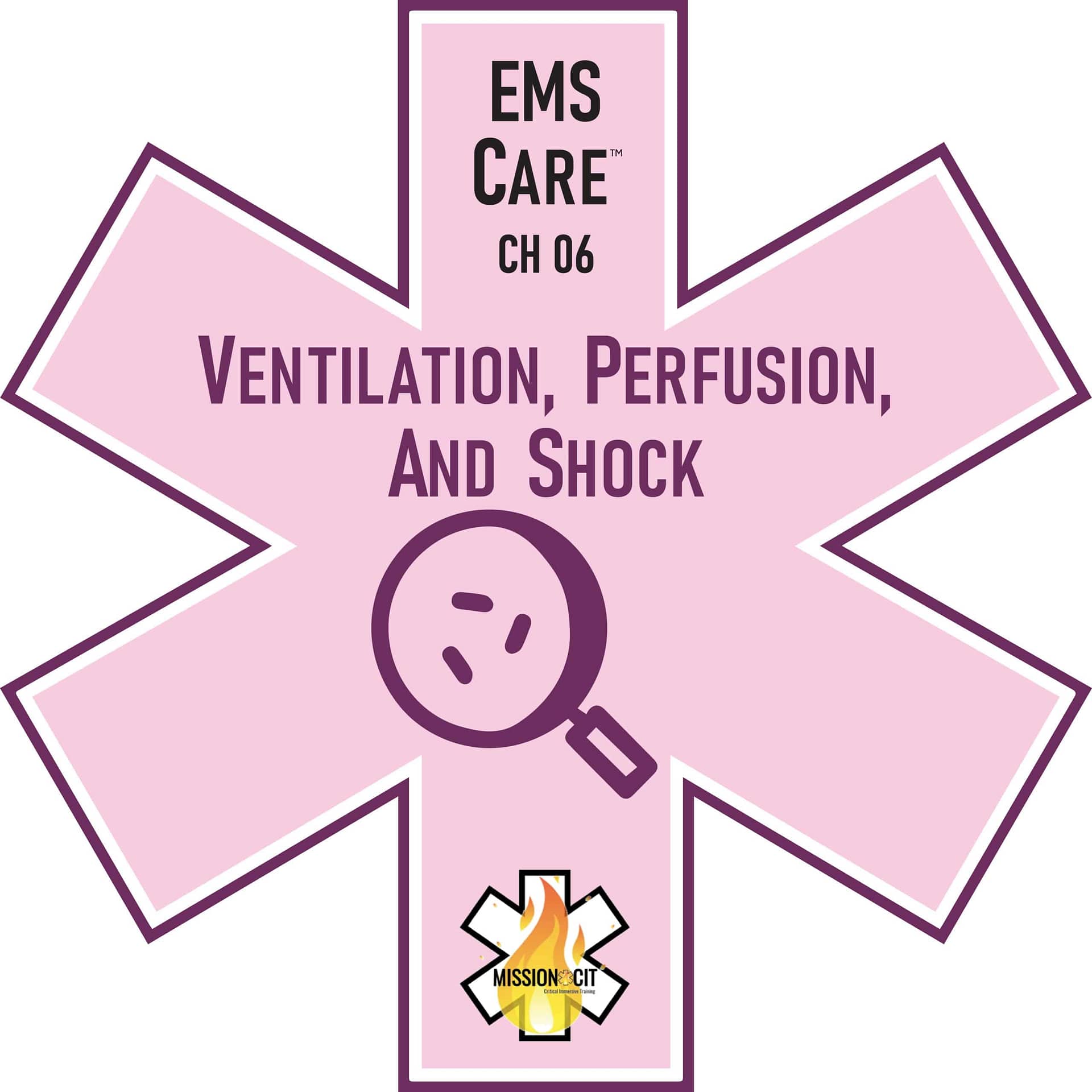 EMS Care Chapter 06 | Understanding Pathophysiology | Ventilation, Perfusion and Shock