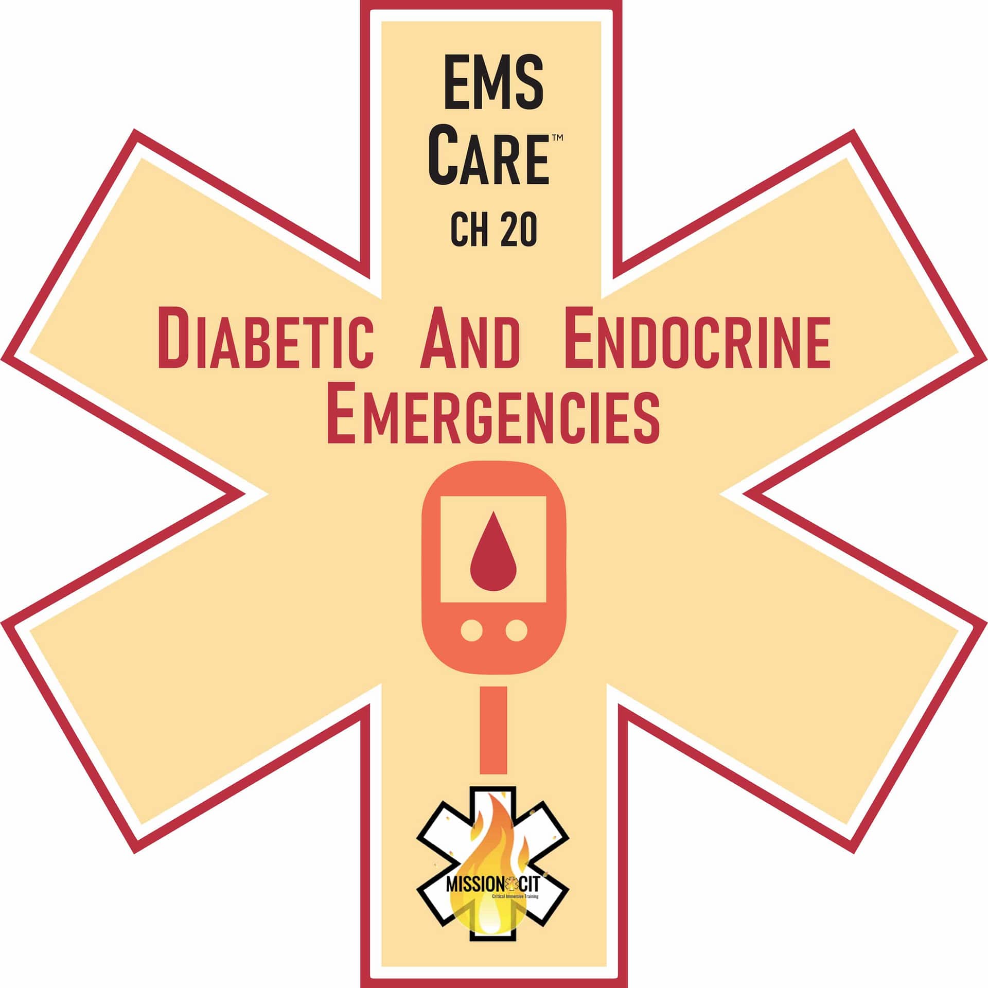 EMS Care Chapter 20 | Diabetic and endocrine emergencies