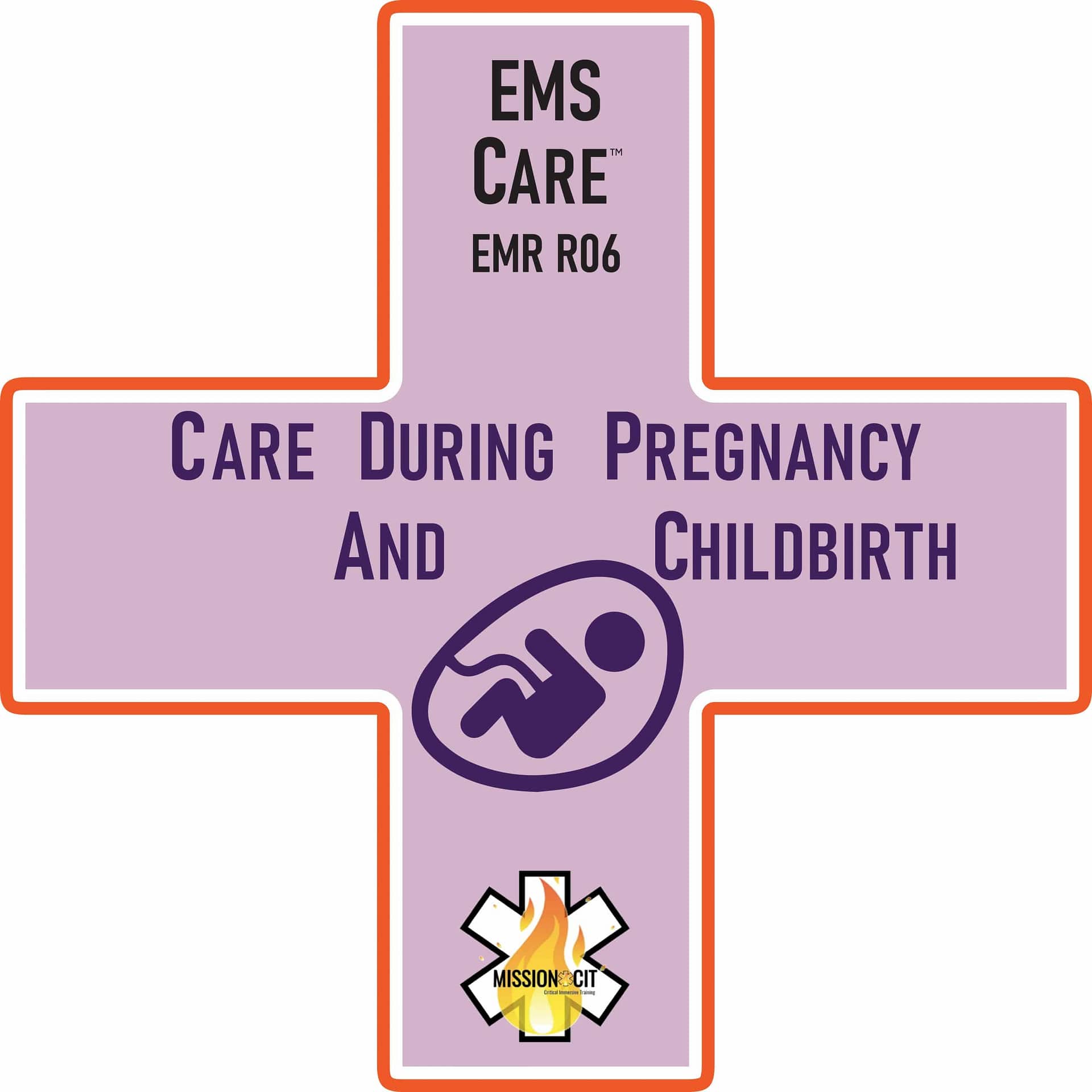 EMR Chapter – R06 | Care During Pregnancy and Childbirth