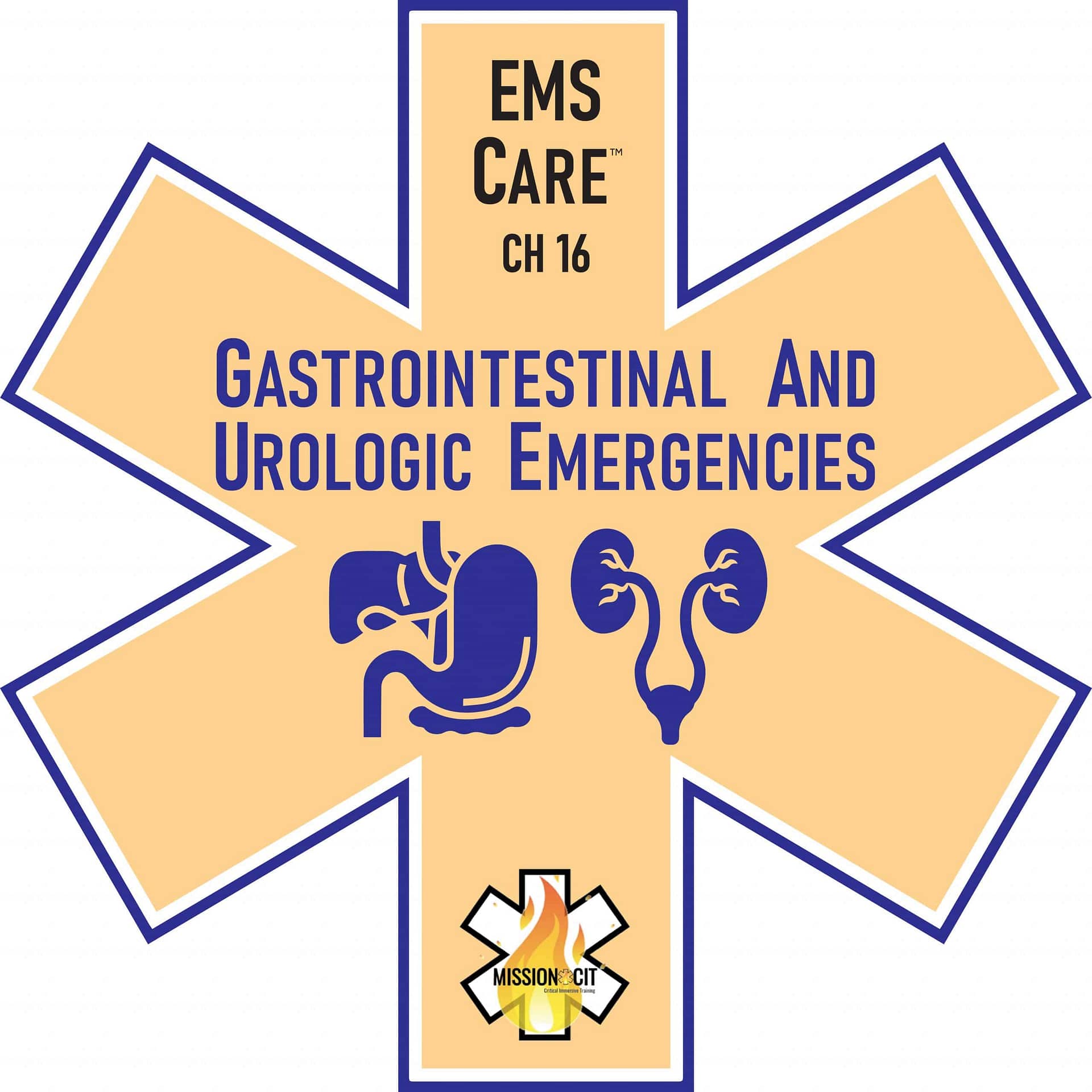 EMS Care Chapter 16 | Gastrointestinal and Urologic Emergencies