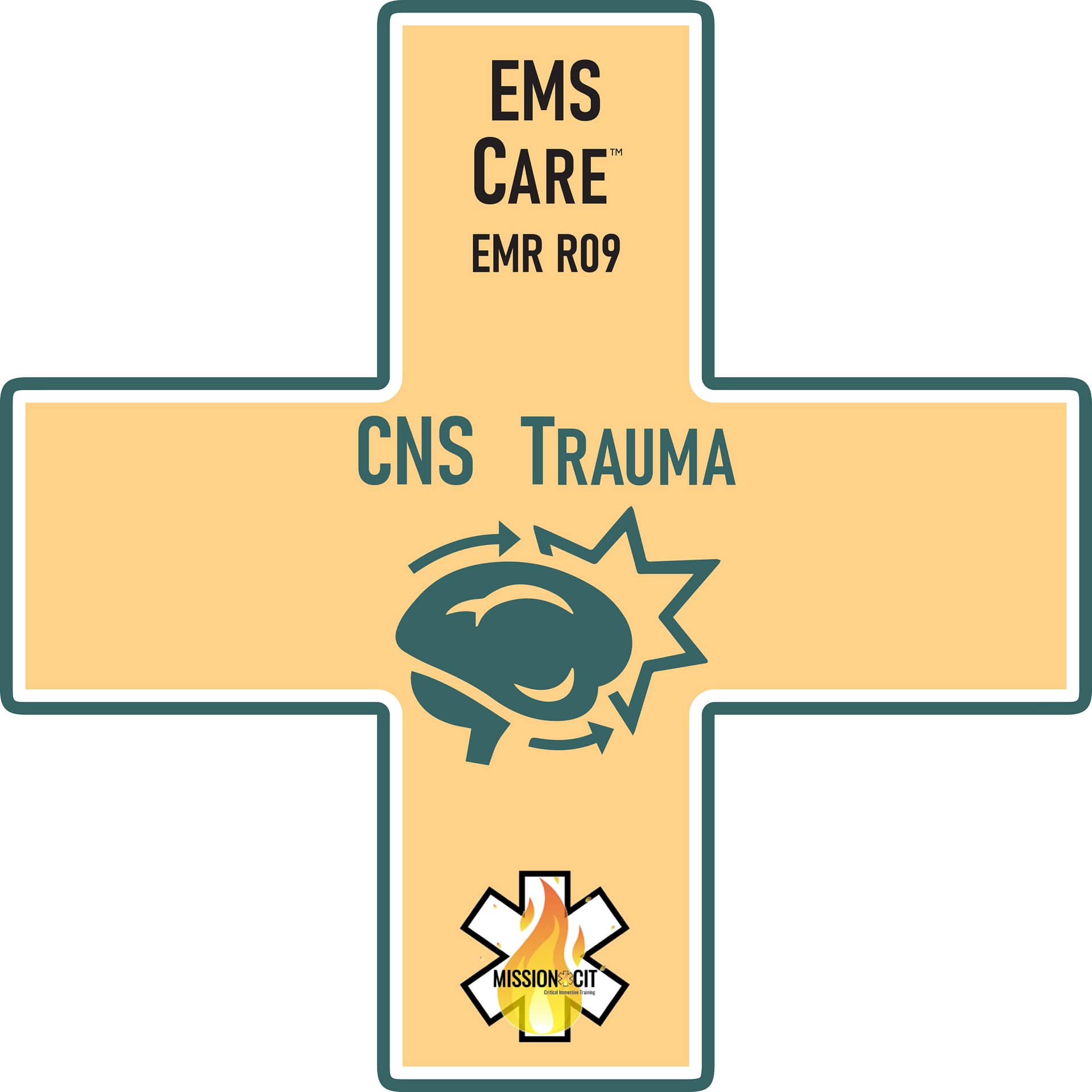 EMR Chapter – R09 | CNS Trauma