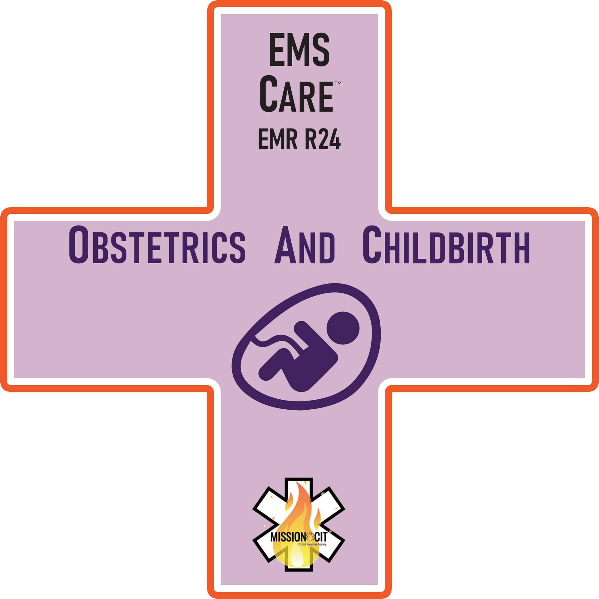 EMS Care EMR Chapter – E24 | Obstetrics and Childbirth